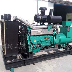 濰坊250KW柴油發電機組